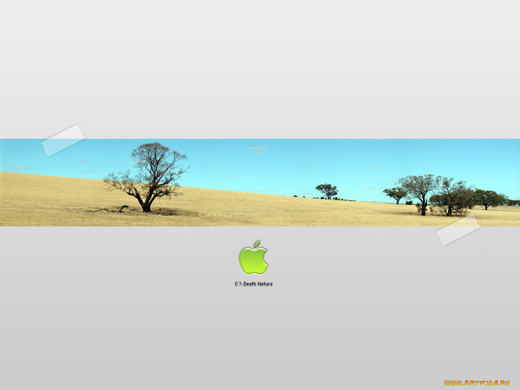 , apple